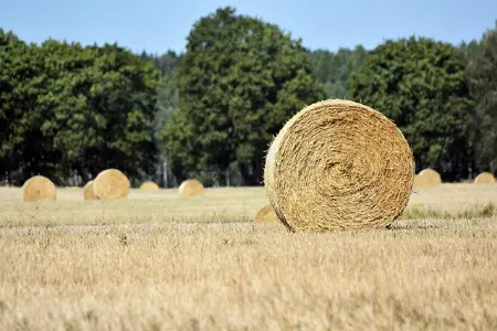 此内容被密码保护